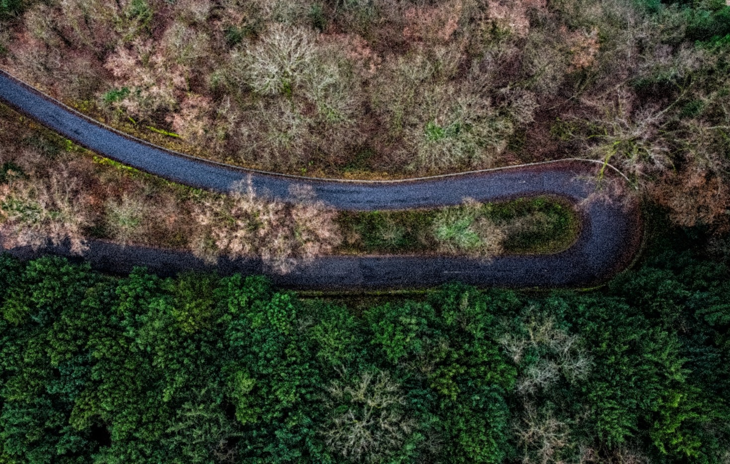 Top Reasons to Choose Eco-Friendly Shuttle Services