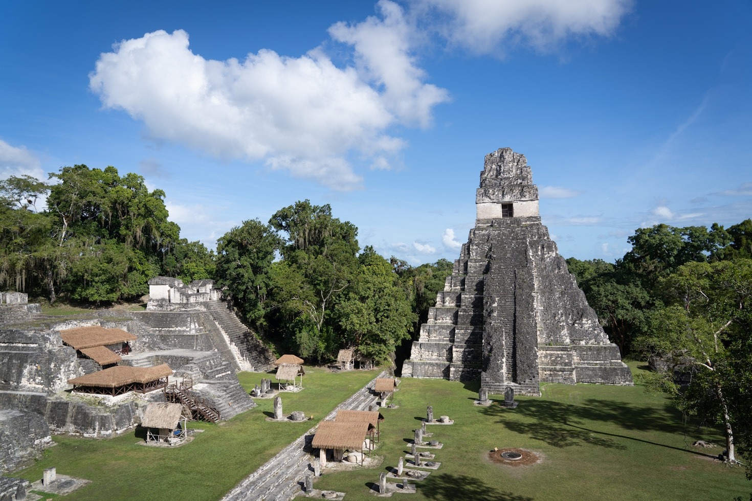 How Shared and Private Transfers Can Enhance Your Trip
